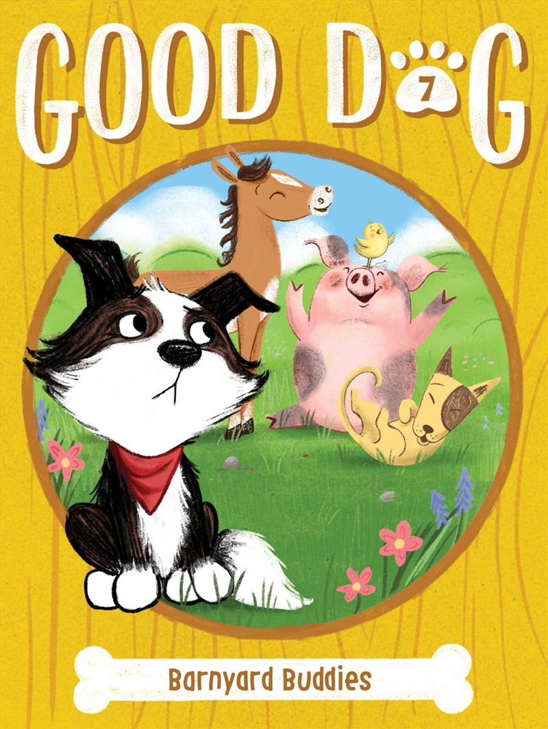 Barnyard Buddies/Product Detail/Childrens Fiction Books