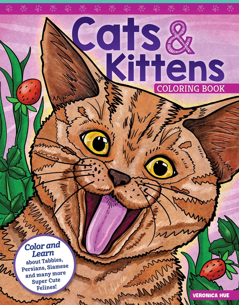 Cats and Kittens Coloring Book/Product Detail/Kids Colouring