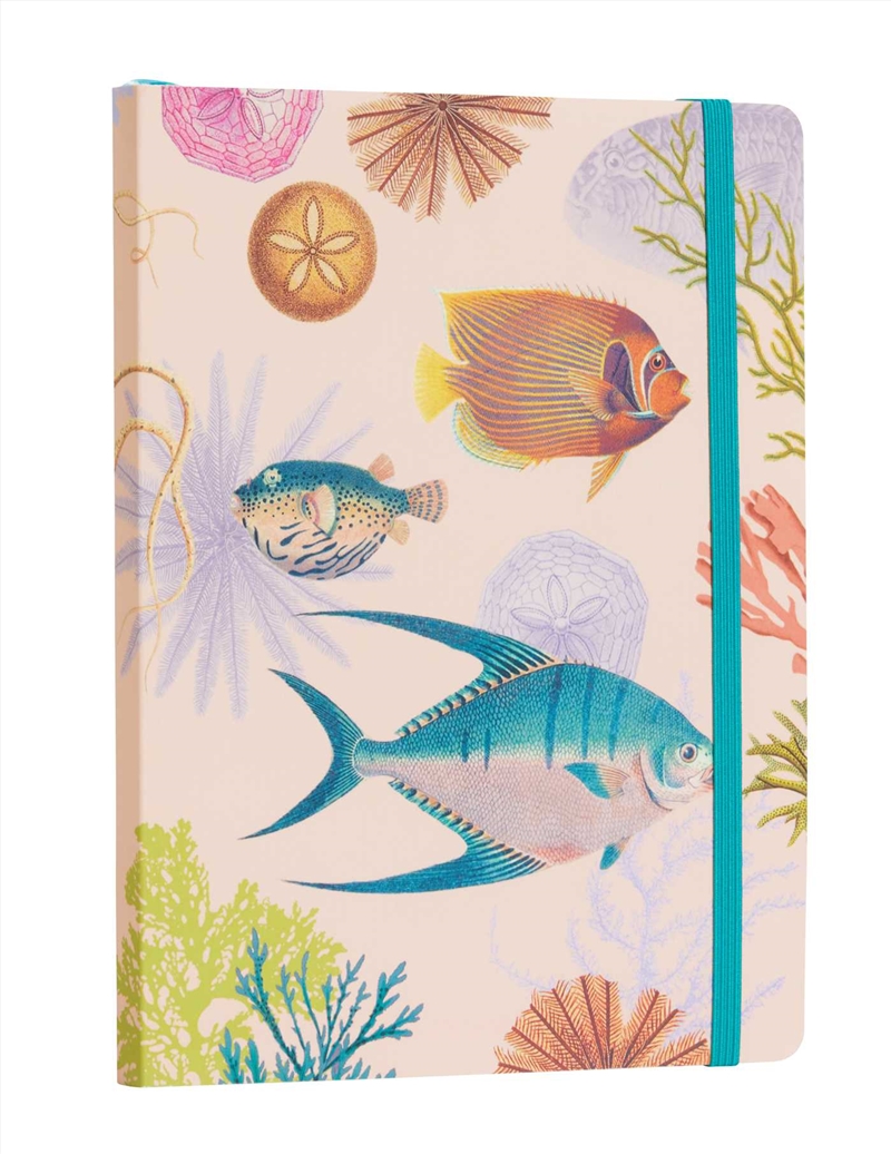 Art of Nature: Under the Sea Softcover Notebook/Product Detail/Notebooks & Journals