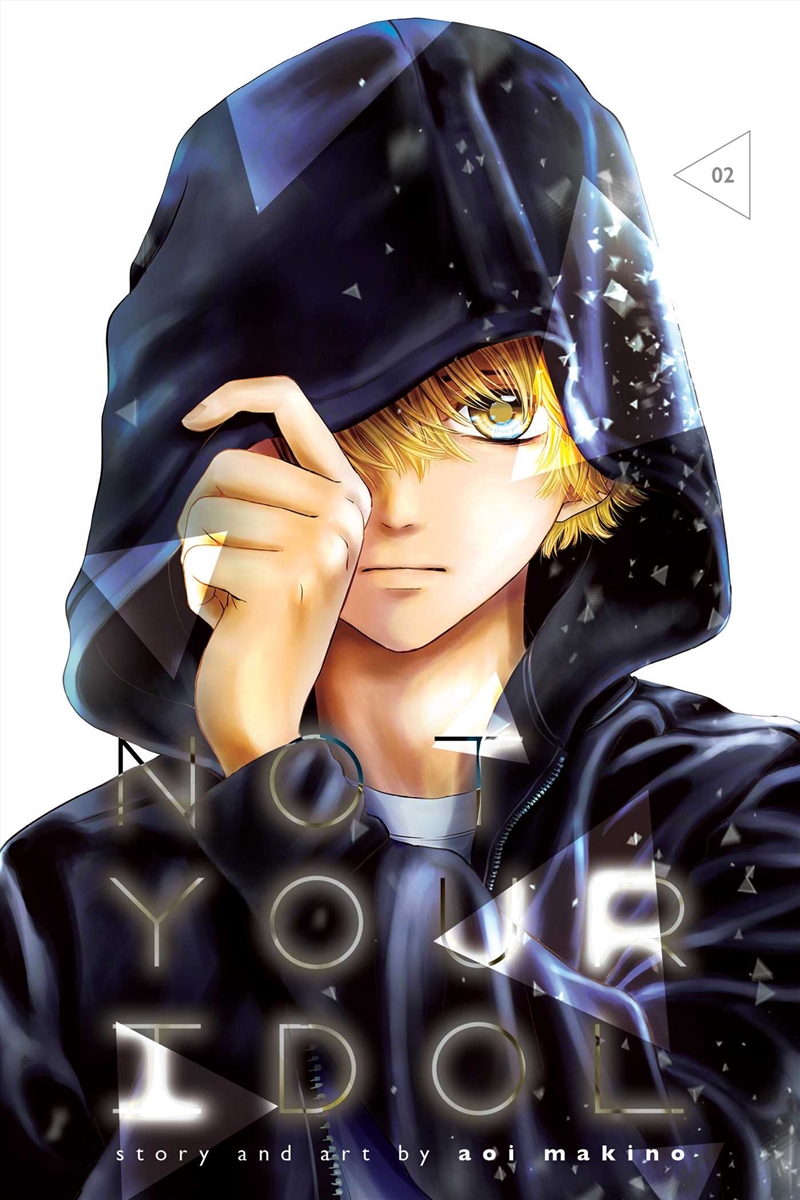 Not Your Idol, Vol. 2/Product Detail/Manga