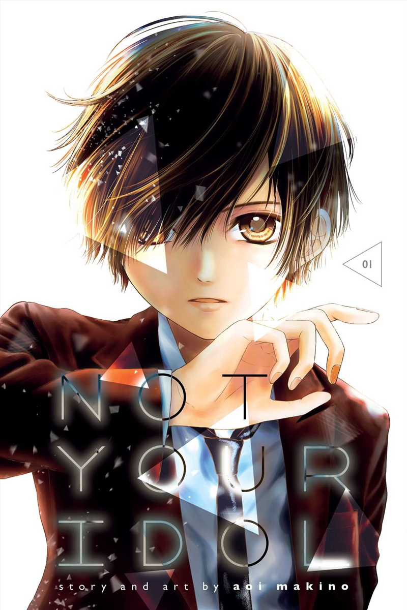 Not Your Idol, Vol. 1/Product Detail/Manga