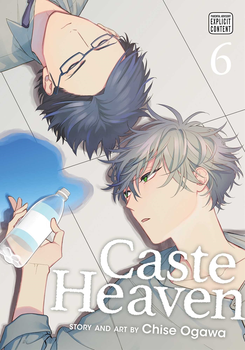 Caste Heaven, Vol. 6/Product Detail/Manga