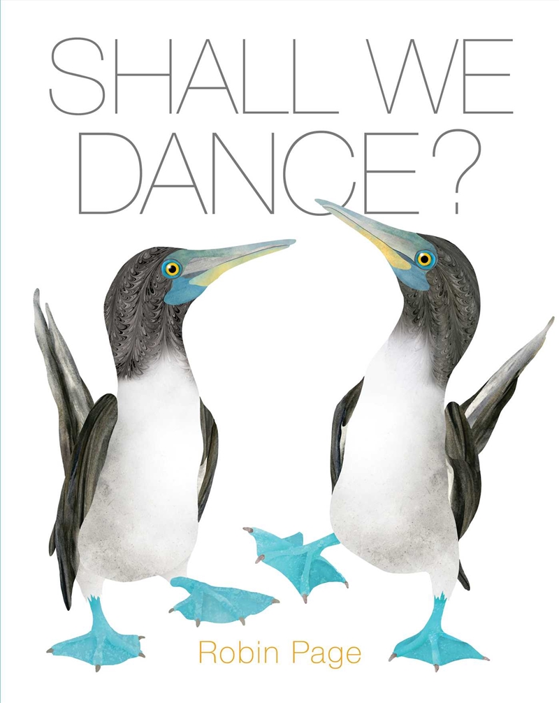 Shall We Dance?/Product Detail/Early Childhood Fiction Books