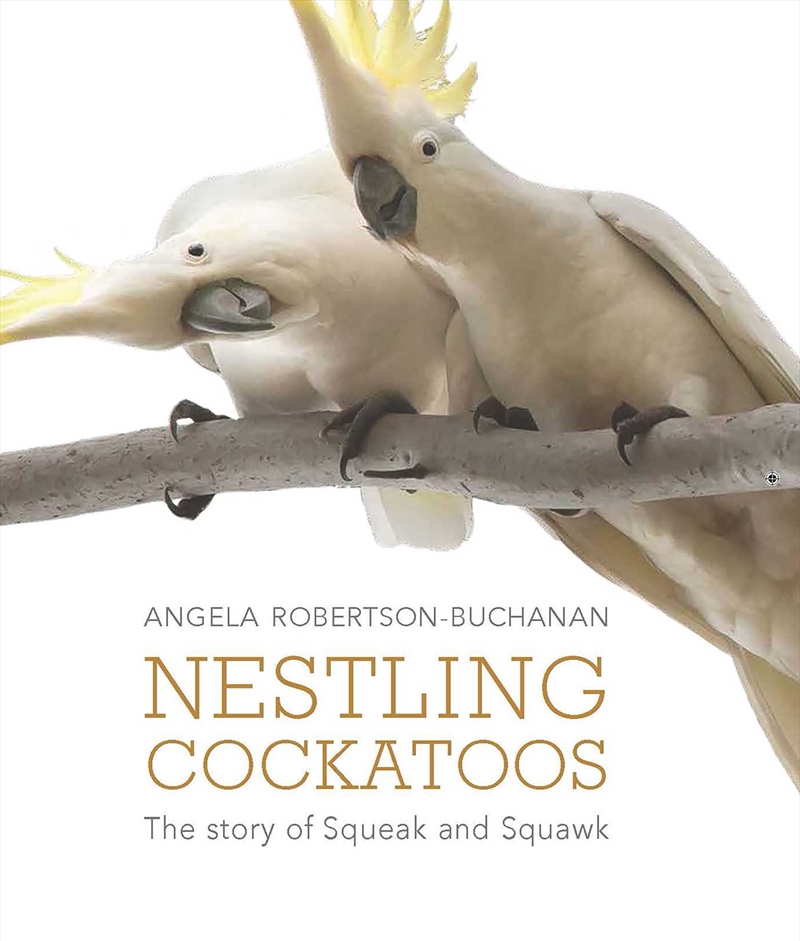 Nestling Cockatoos/Product Detail/Animals & Nature