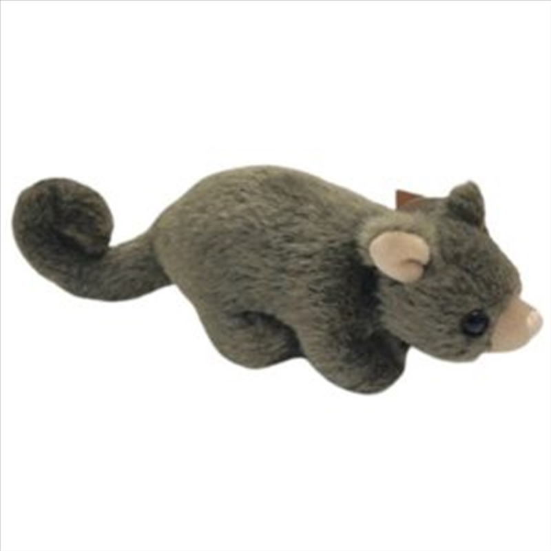 Pickles The Baby Possum - 15cm/Product Detail/Plush Toys