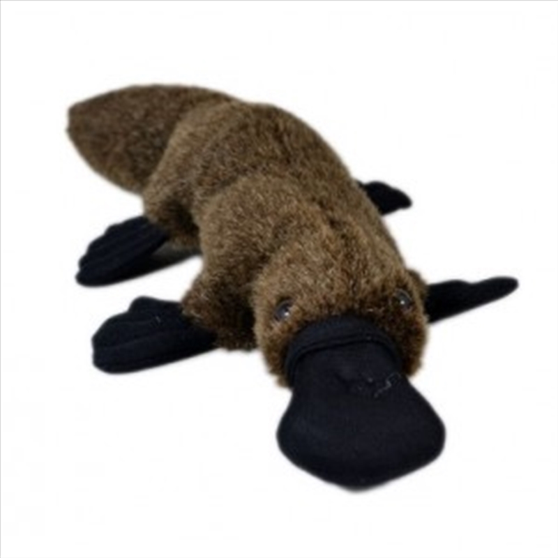 32cm Platypus/Product Detail/Plush Toys