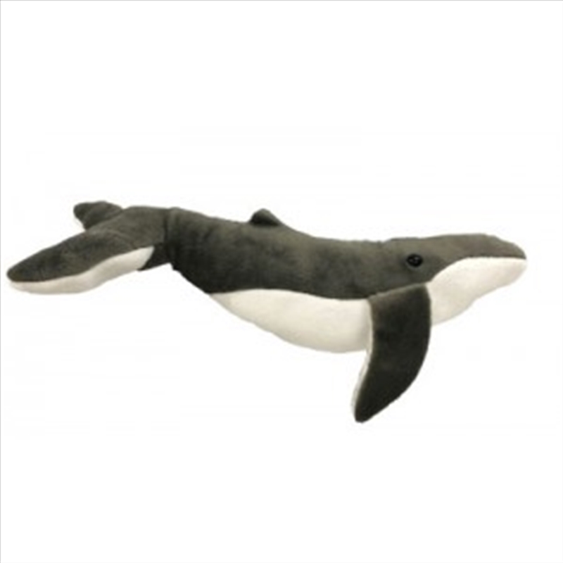 45cm Humpback Whale/Product Detail/Plush Toys