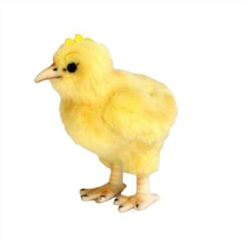 Chick 12cm H/Product Detail/Plush Toys