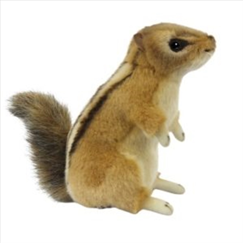 Chipmunk 23cm L/Product Detail/Plush Toys