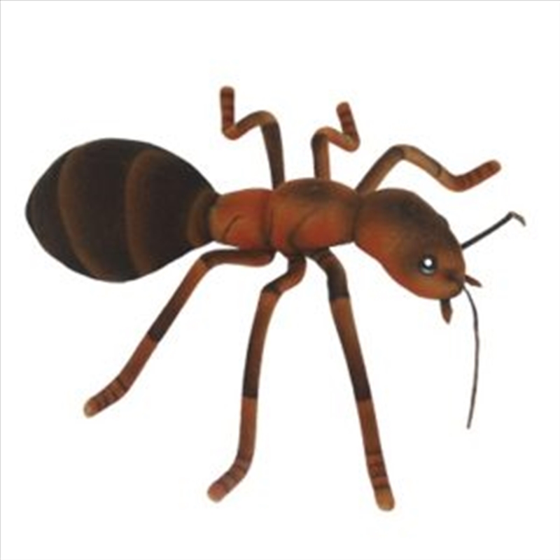 Ant 25cm W/Product Detail/Plush Toys