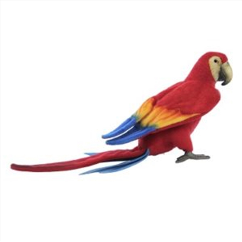 Scarlet Macaw 40cm L/Product Detail/Plush Toys