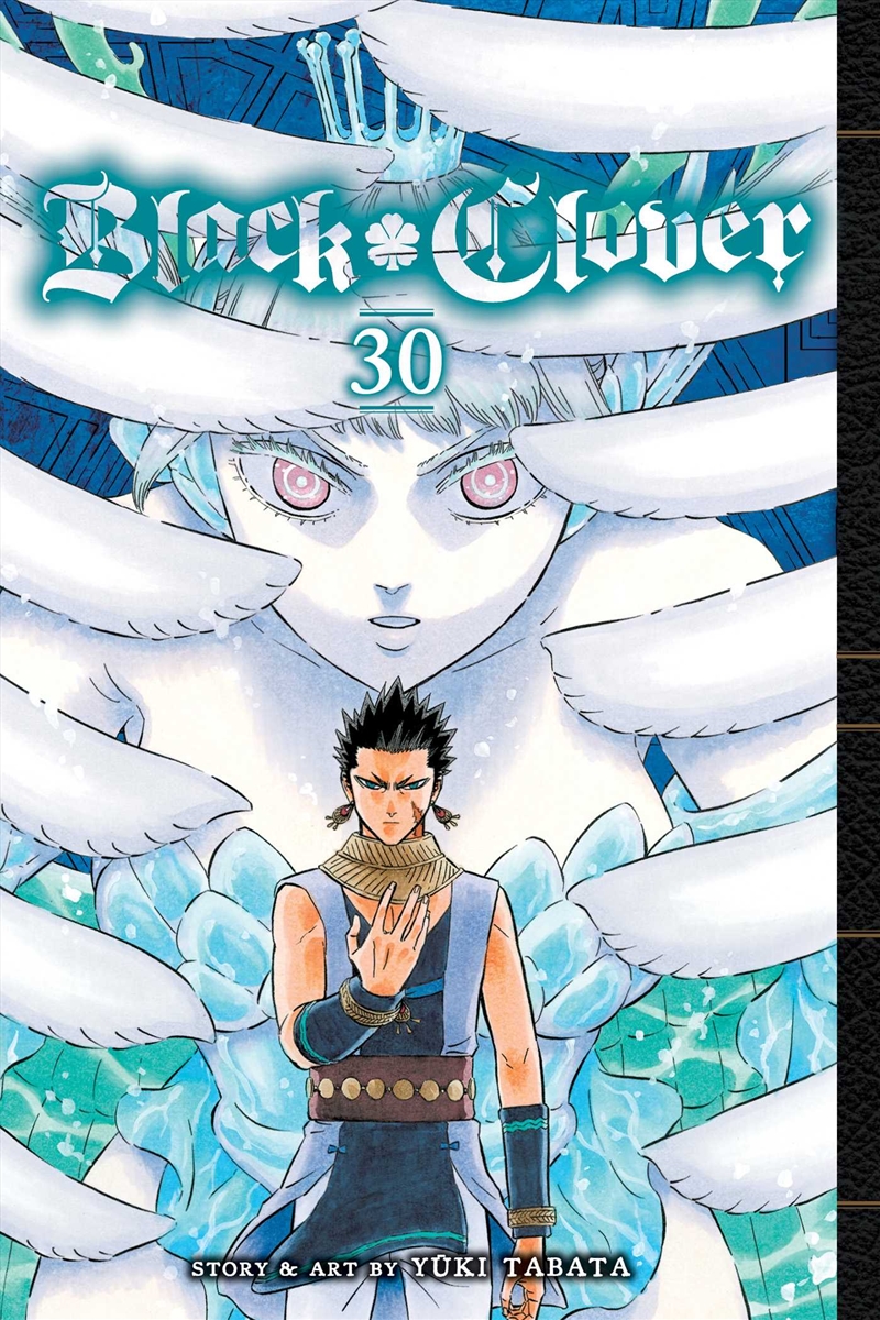 Black Clover, Vol. 30/Product Detail/Manga