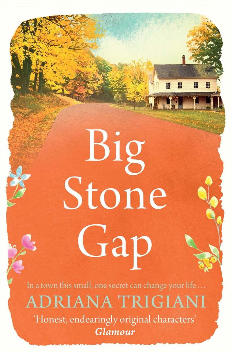 Big Stone Gap/Product Detail/General Fiction Books