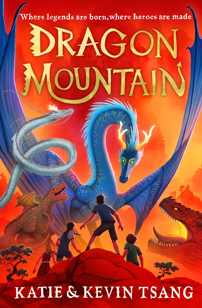 Dragon Mountain/Product Detail/Childrens Fiction Books