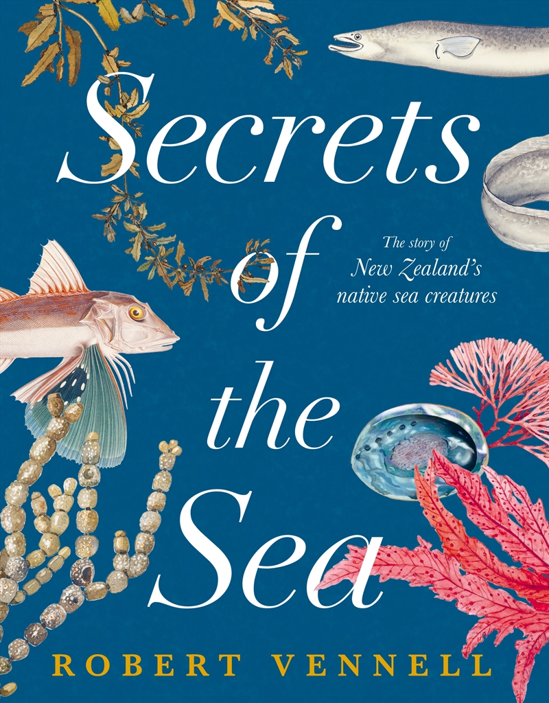 Secrets Of The Sea/Product Detail/Animals & Nature