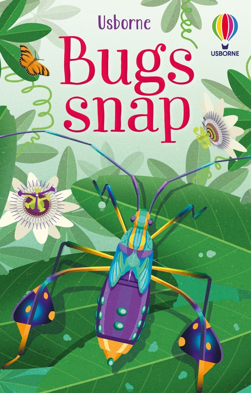 Bugs Snap/Product Detail/Card Games