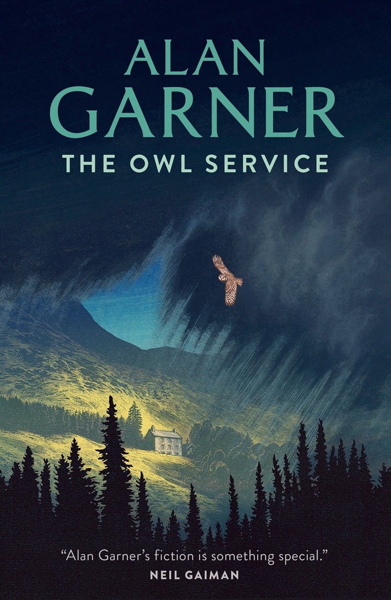 Owl Service/Product Detail/Childrens Fiction Books