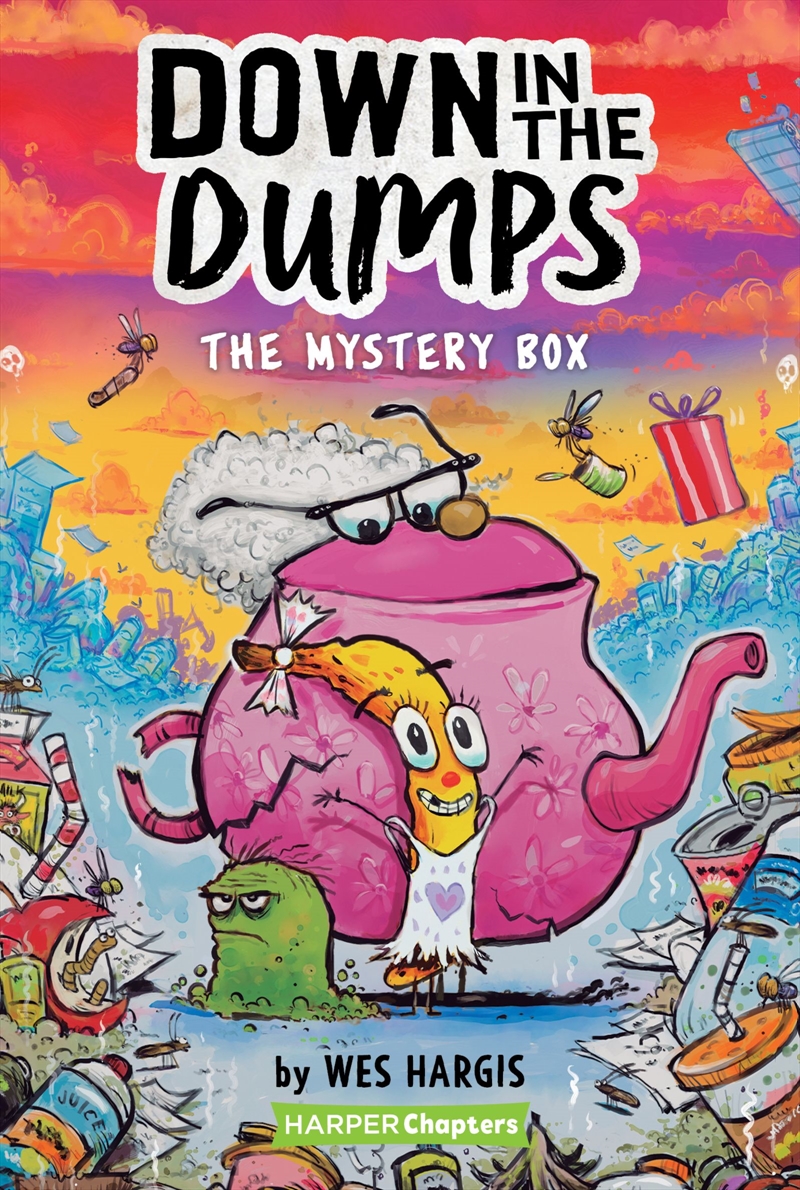 Down In The Dumps 1 Mystery Box/Product Detail/Childrens Fiction Books