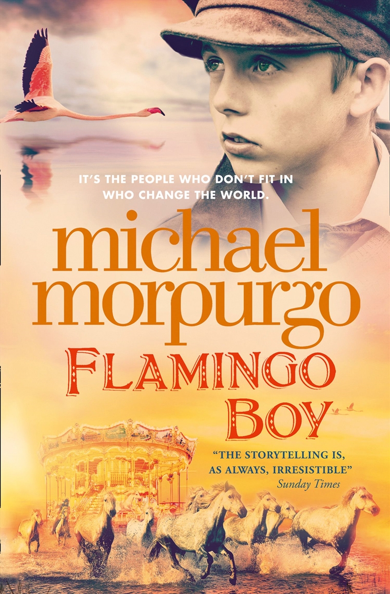 Flamingo Boy/Product Detail/Childrens Fiction Books