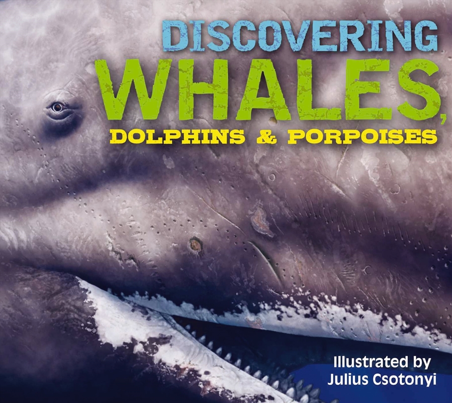 Discovering Whales, Dolphins & Porpoises/Product Detail/Childrens