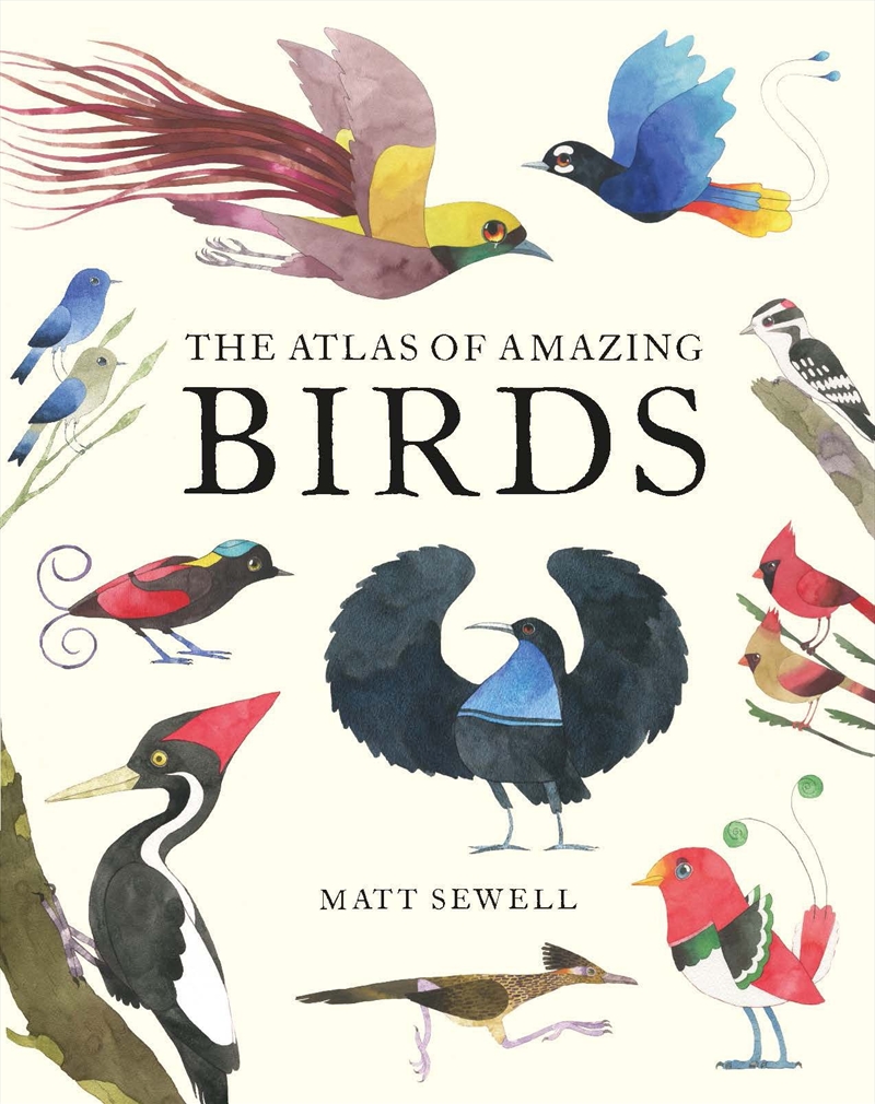 Atlas Of Amazing Birds/Product Detail/Childrens