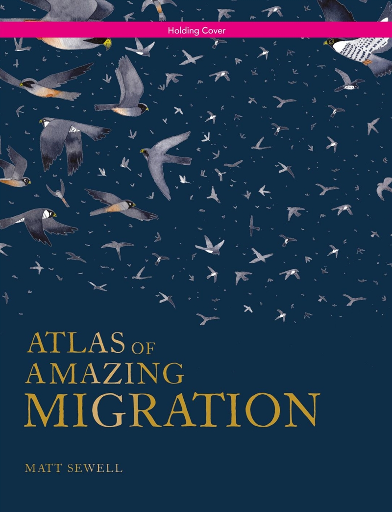 Atlas Of Amazing Migration/Product Detail/Childrens