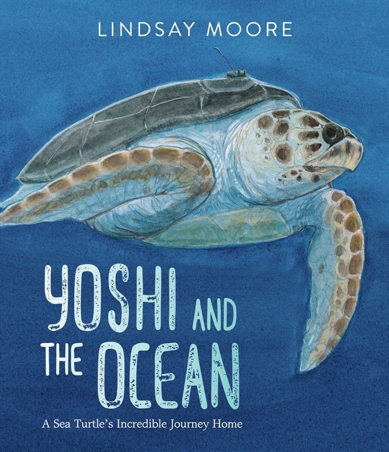 Yoshi And The Ocean/Product Detail/Early Childhood Fiction Books