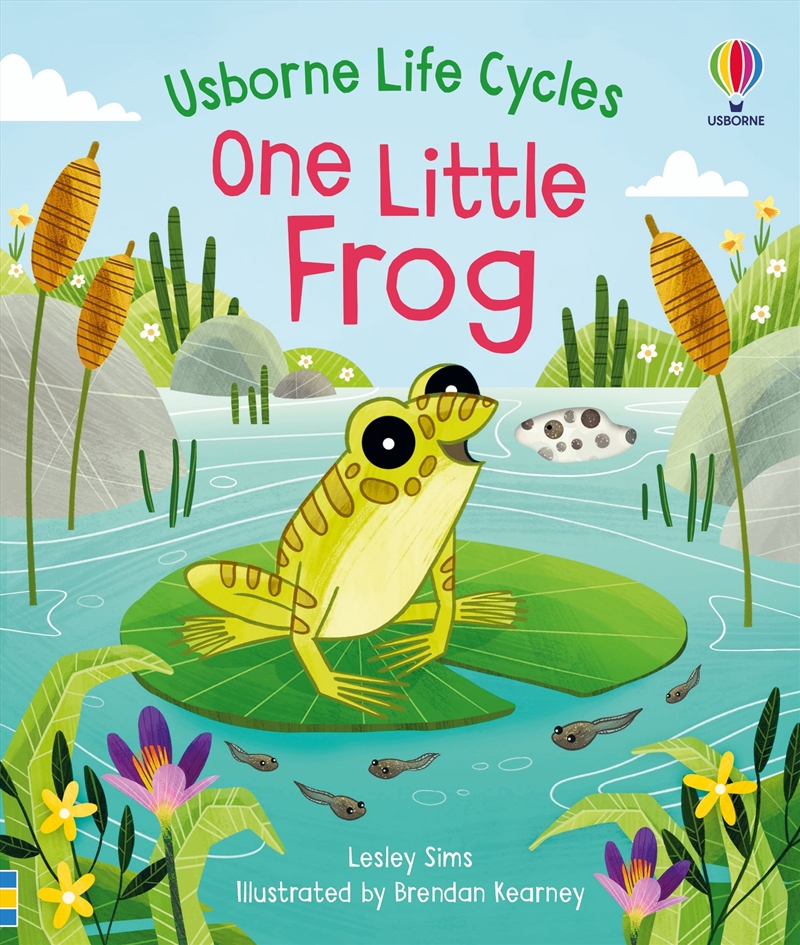 One Little Frog/Product Detail/Early Childhood Fiction Books