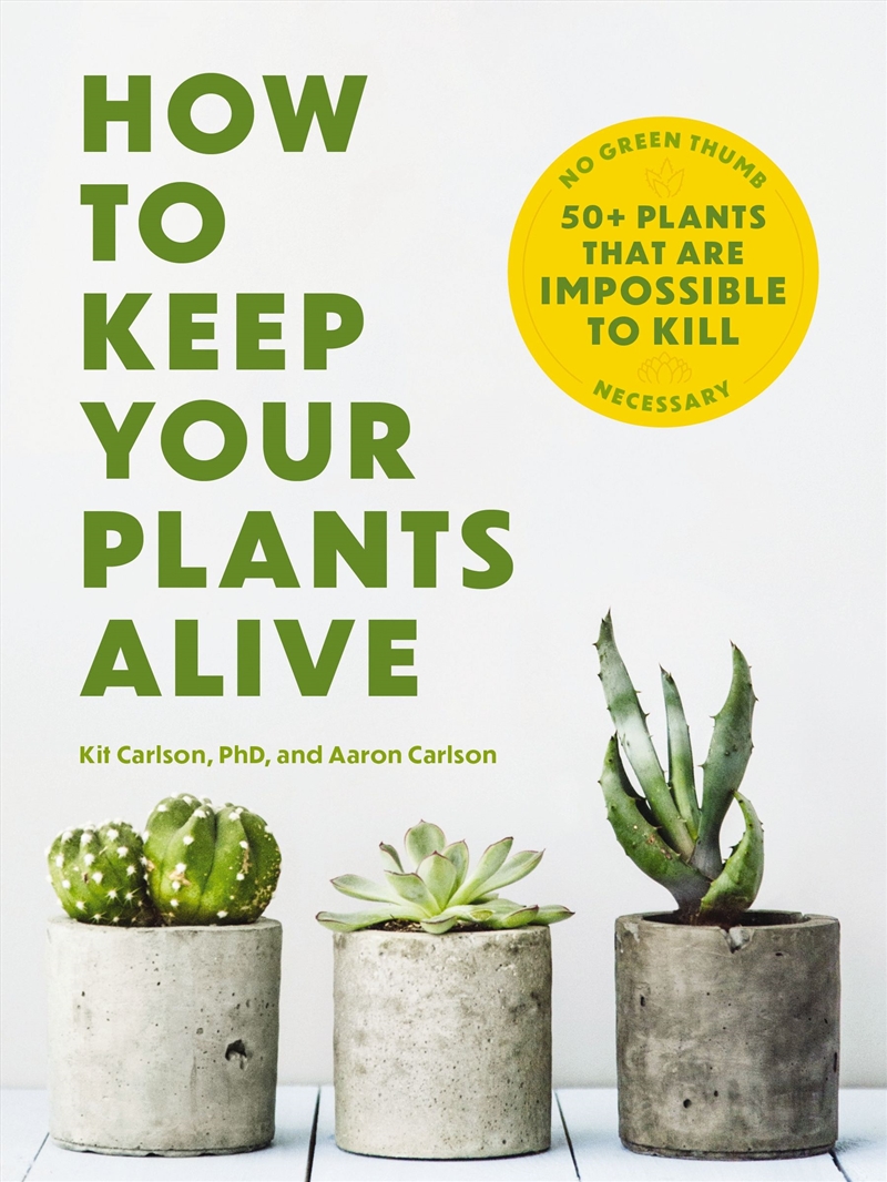 How To Keep Your Plants Alive/Product Detail/Fashion & Style Guides