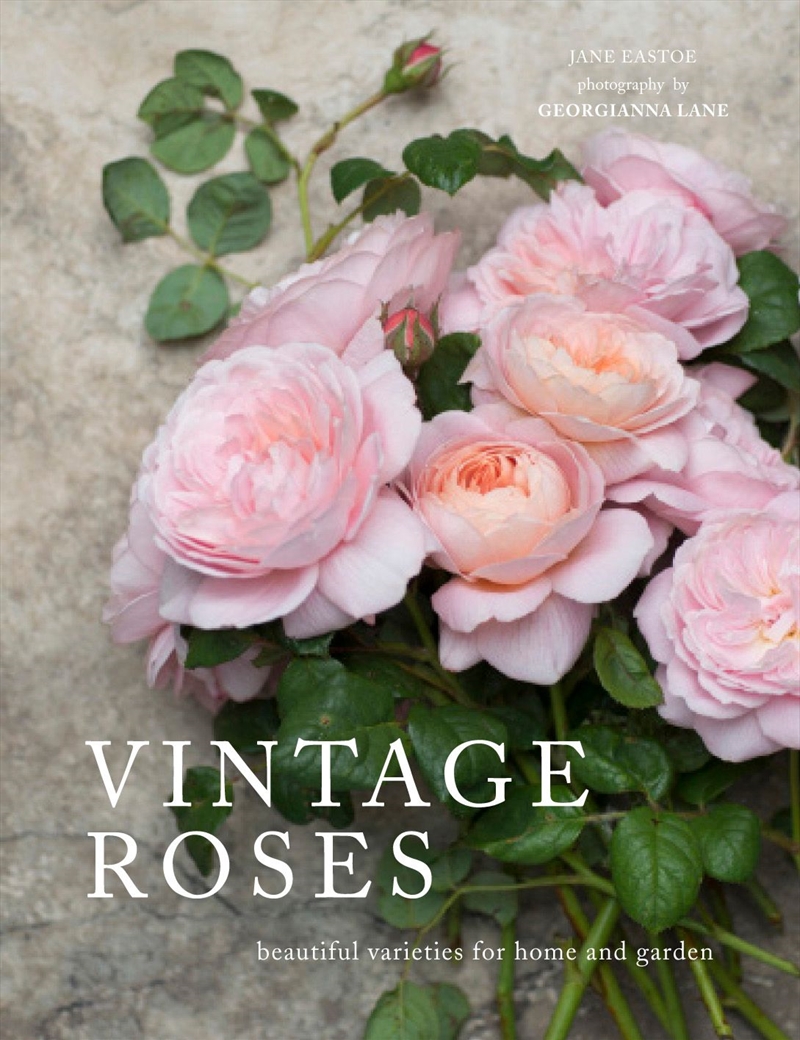 Vintage Roses/Product Detail/Gardening