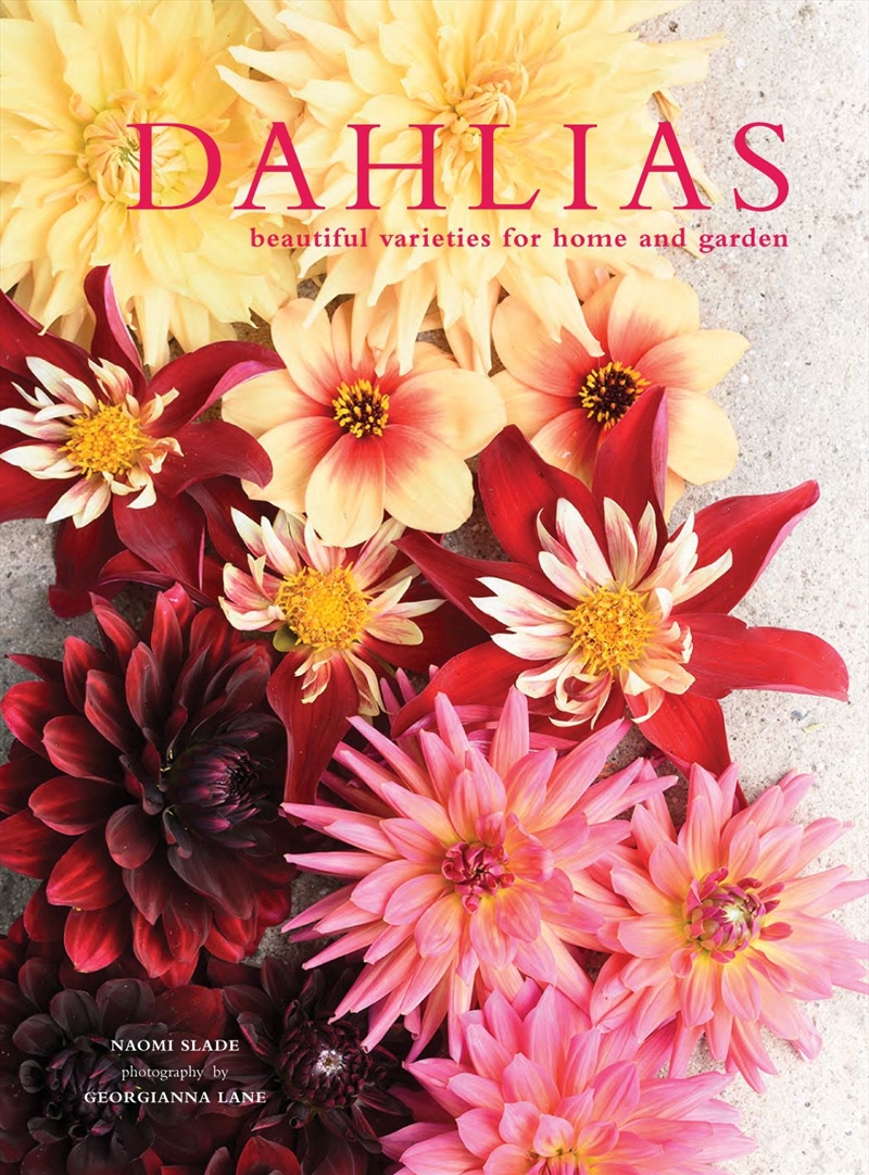 Dahlias/Product Detail/Gardening