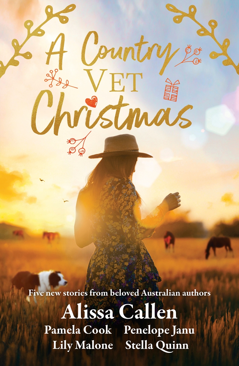 Country Vet Christmas/Product Detail/General Fiction Books