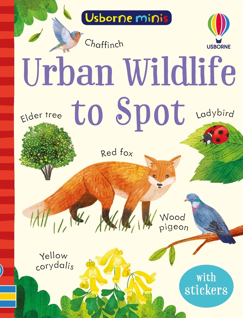 Mini Books Urban Wildlife To Spot/Product Detail/Kids Activity Books