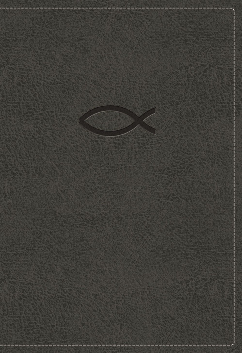 Kjv Thinline Bible Youth Edition [Grey]/Product Detail/Religion & Beliefs