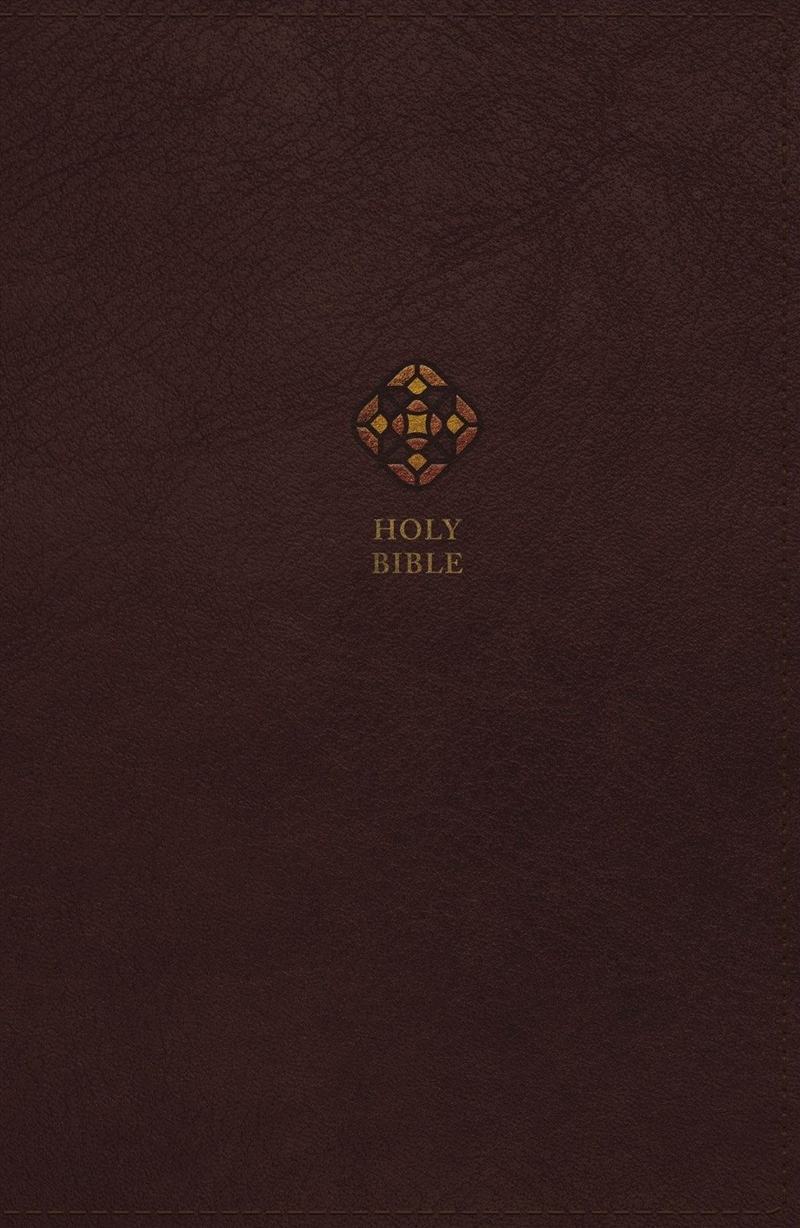 Nrsv Catholic Bible Journal Edition [Brown]/Product Detail/Religion & Beliefs