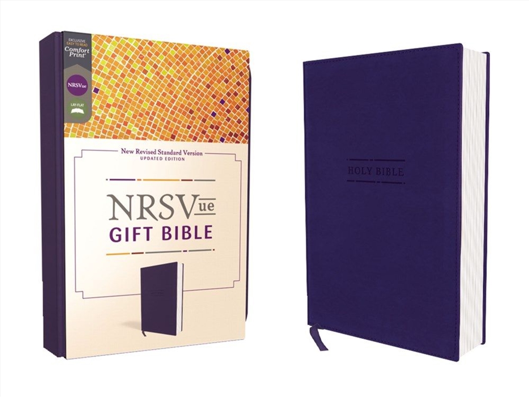 Nrsvue Gift Bible [Blue]/Product Detail/Religion & Beliefs