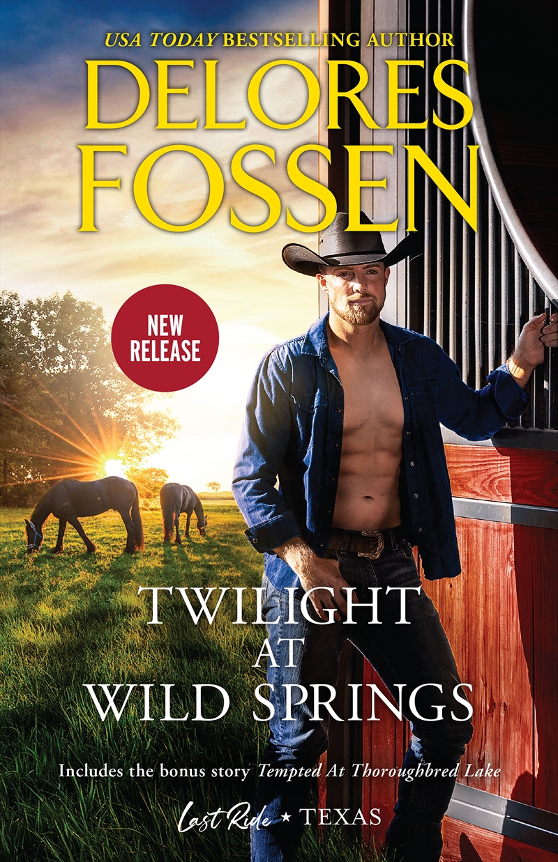 Twilight At Wild Springs/Twilight At Wild Springs//Product Detail/Romance