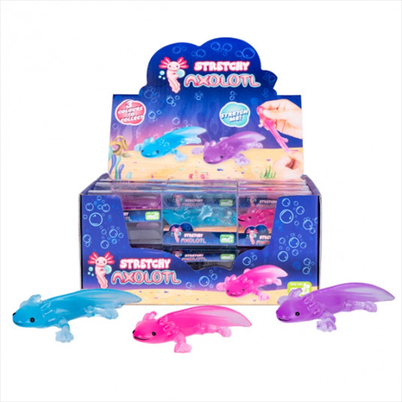 Stretchy Axolotl  (SENT AT RANDOM)/Product Detail/Toys