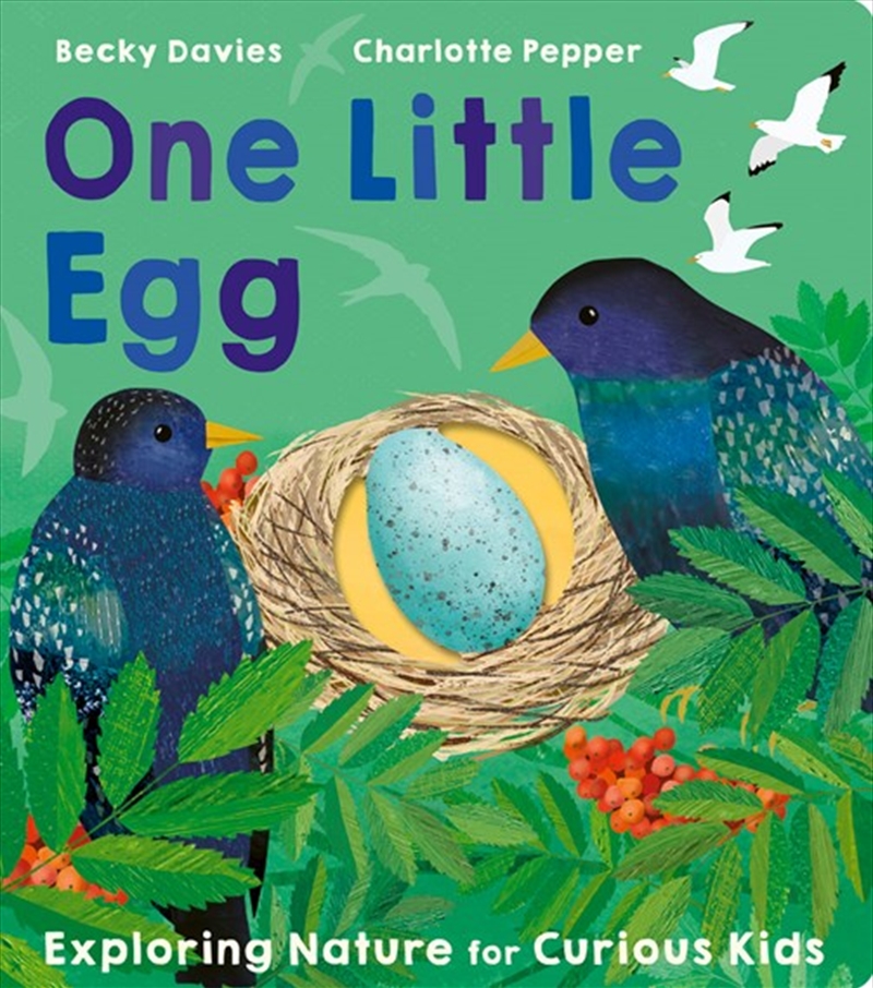 One Little Egg/Product Detail/Early Childhood Fiction Books