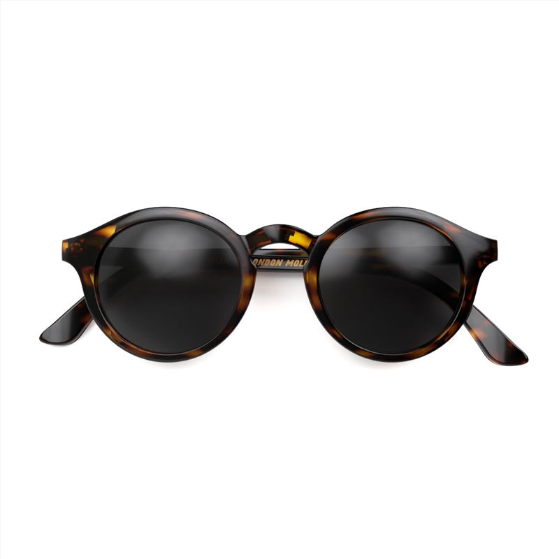 London Mole Graduate Sunglasses Gloss Brown Tortoiseshell/Product Detail/Apparel