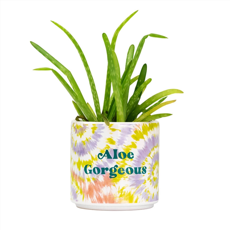 Tie Dye Planter Small: Aloe Gorgeous/Product Detail/Homewares