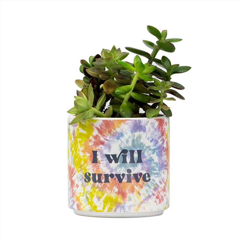 Tie Dye Planter Small: I Will Survive/Product Detail/Homewares