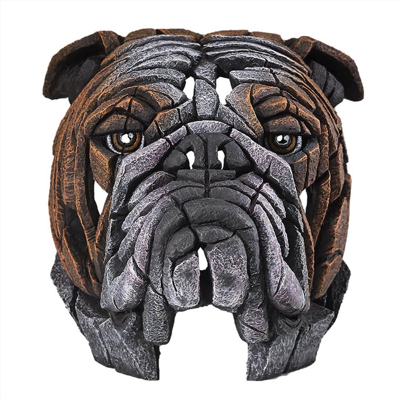 Edge Bust Bulldog/Product Detail/Busts