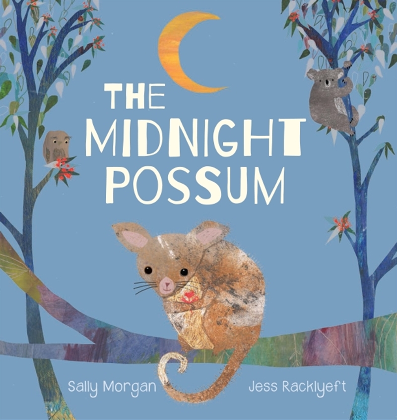 Midnight Possum/Product Detail/Early Childhood Fiction Books