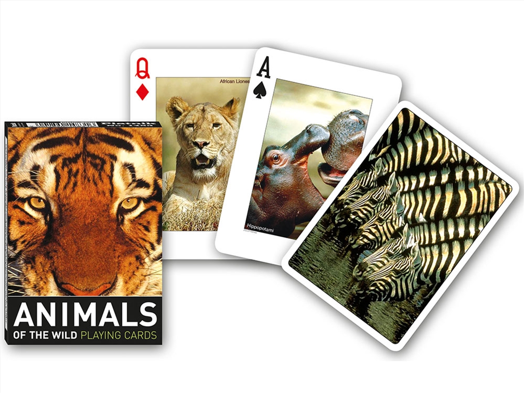 Animals Of The Wild Poker/Product Detail/Card Games