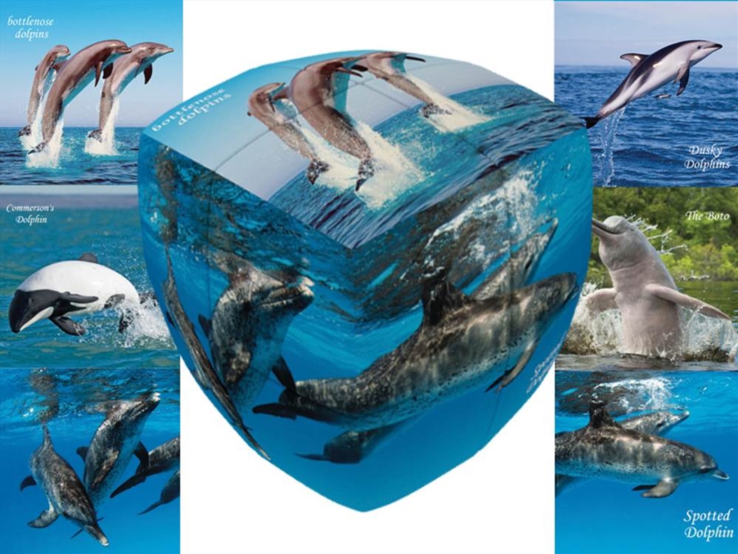 V-Cube Dolphins 2X2 Pillow/Product Detail/Adult Games