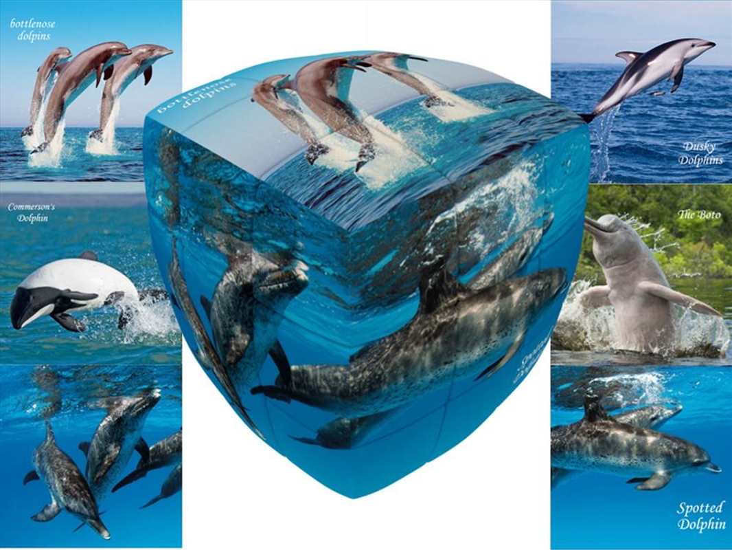 V-Cube Dolphins 3X3 Pillow/Product Detail/Adult Games