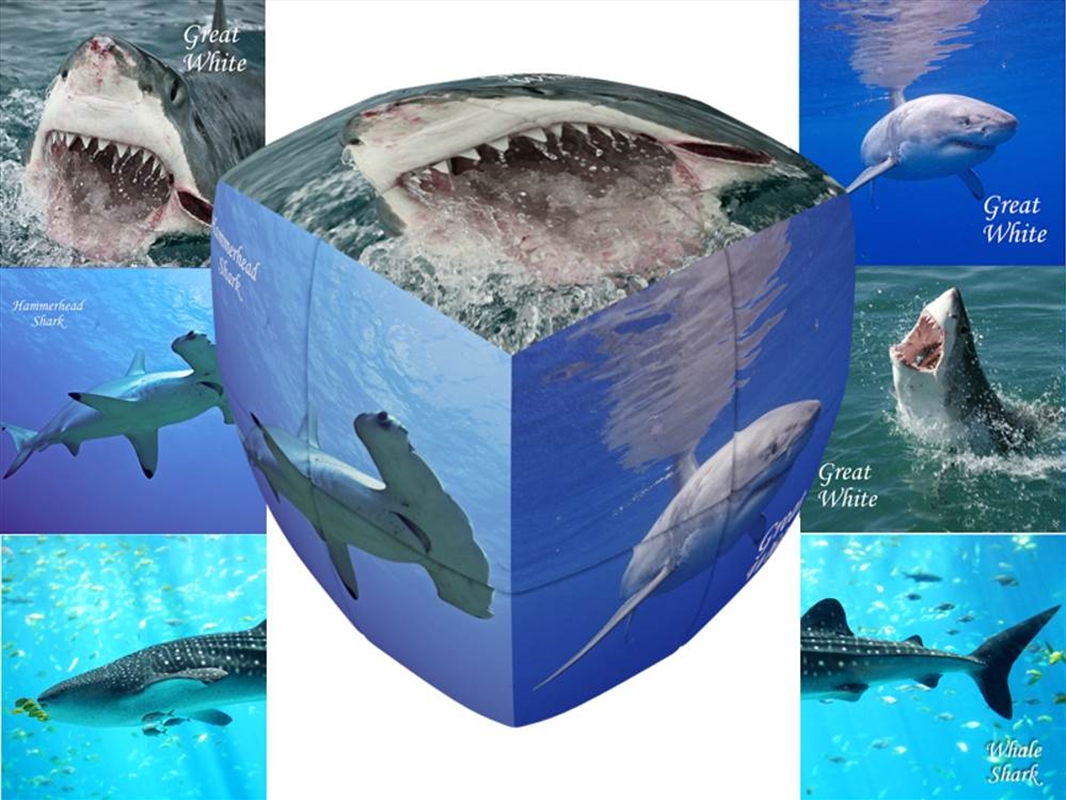 V-Cube Sharks 2X2 Pillow/Product Detail/Adult Games