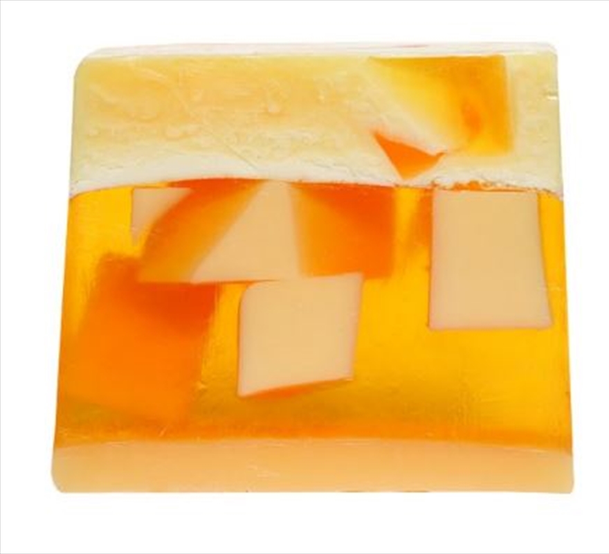 Go Mango Soap Slice/Product Detail/Accessories