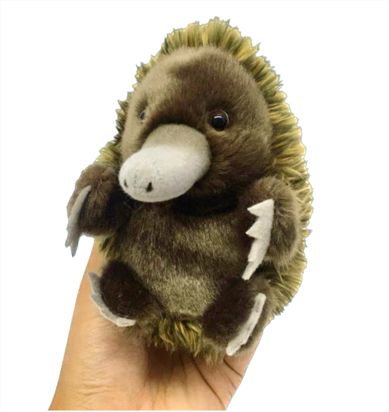 Baby Handfuls Echidna 13cm/Product Detail/Plush Toys